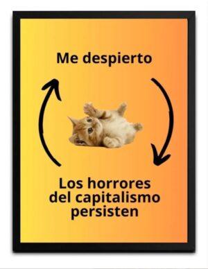 Gatito Capitalismo