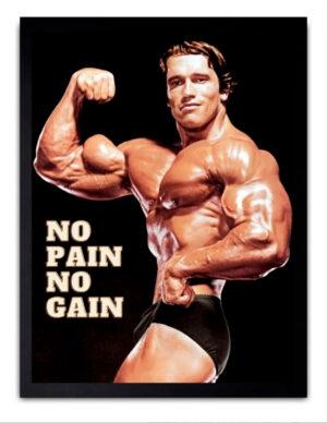 No Gain No Pain