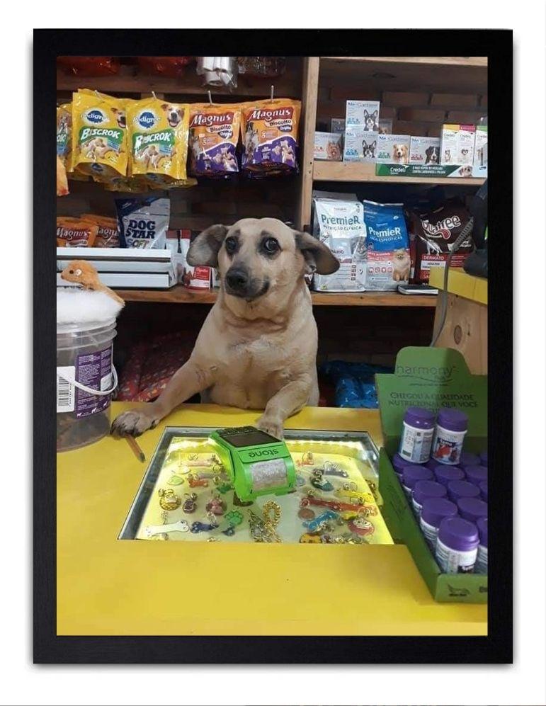 Perrito Atención al Cliente